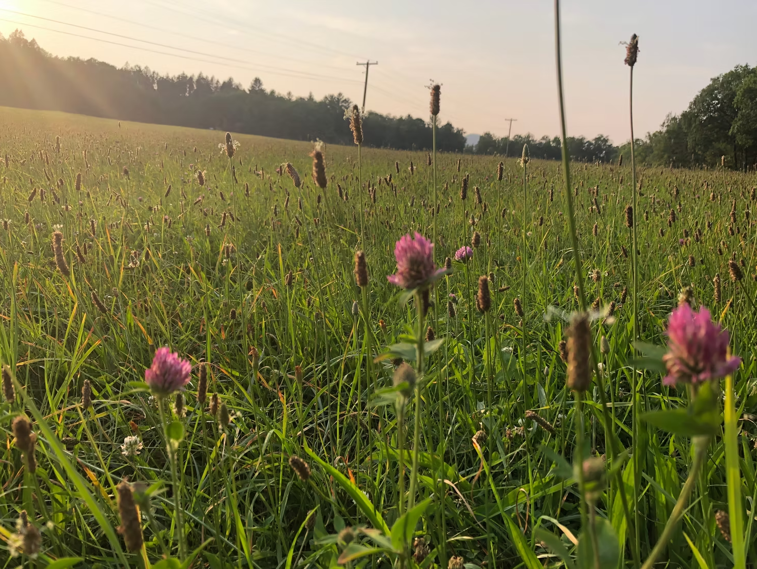 Screenshot 2026-02-09 124655