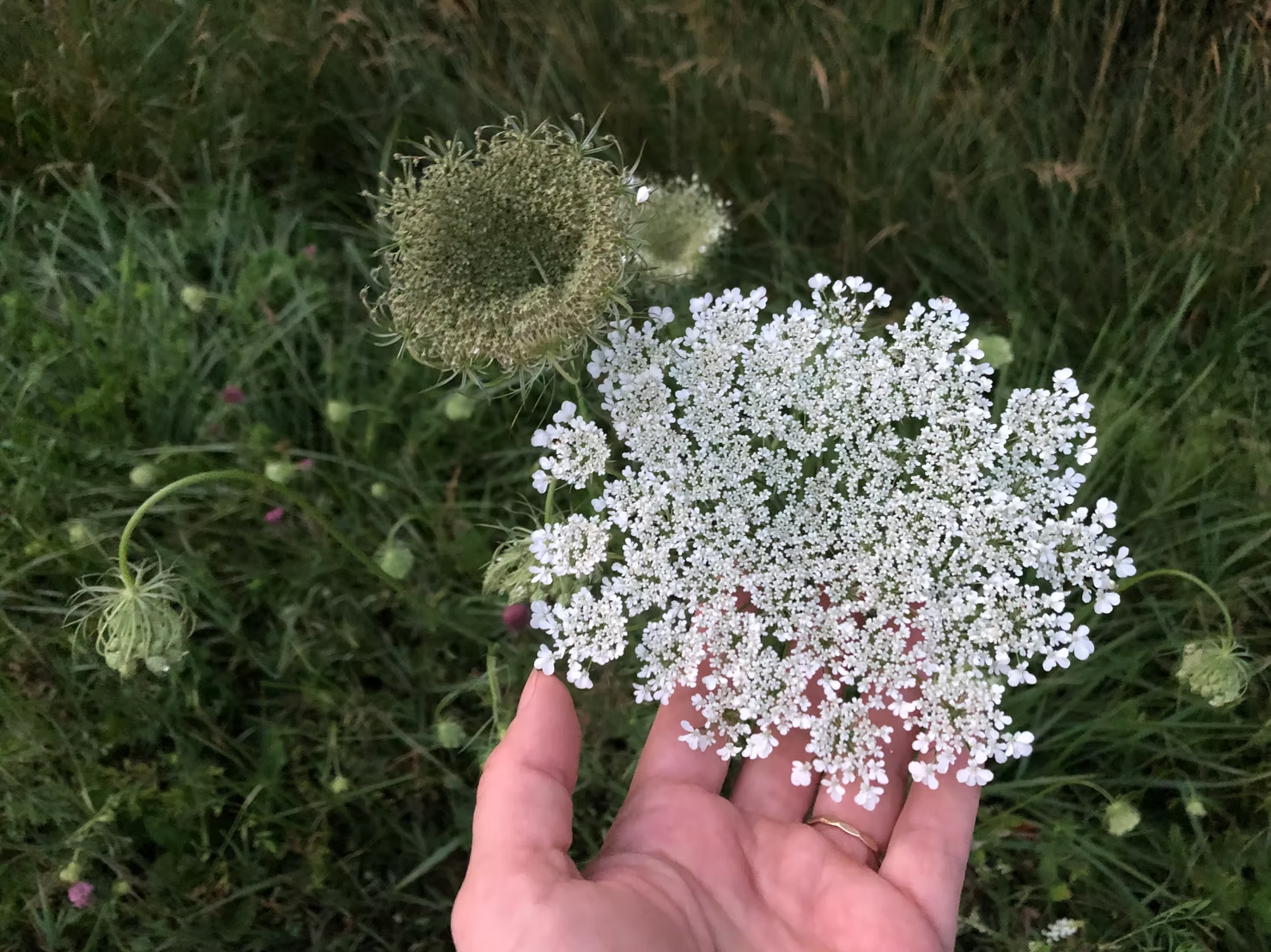 Screenshot 2026-02-09 124708